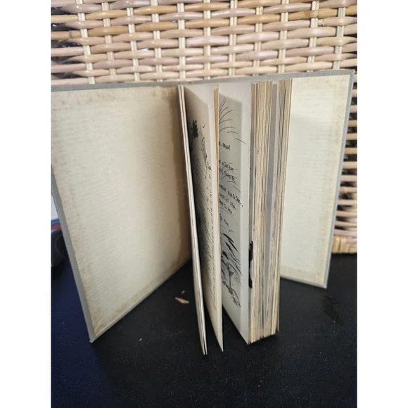 Signed By DWIG, IT'S A BOY'S WORLD, 1948, 1st Hardcover - Picture 8 of 12